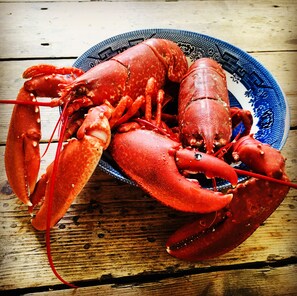 Cabin | Food and drink - Kirkapol Beach Pod Sleeps 2 With Views (Tiree Island)