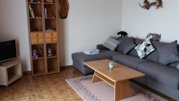 Télévision