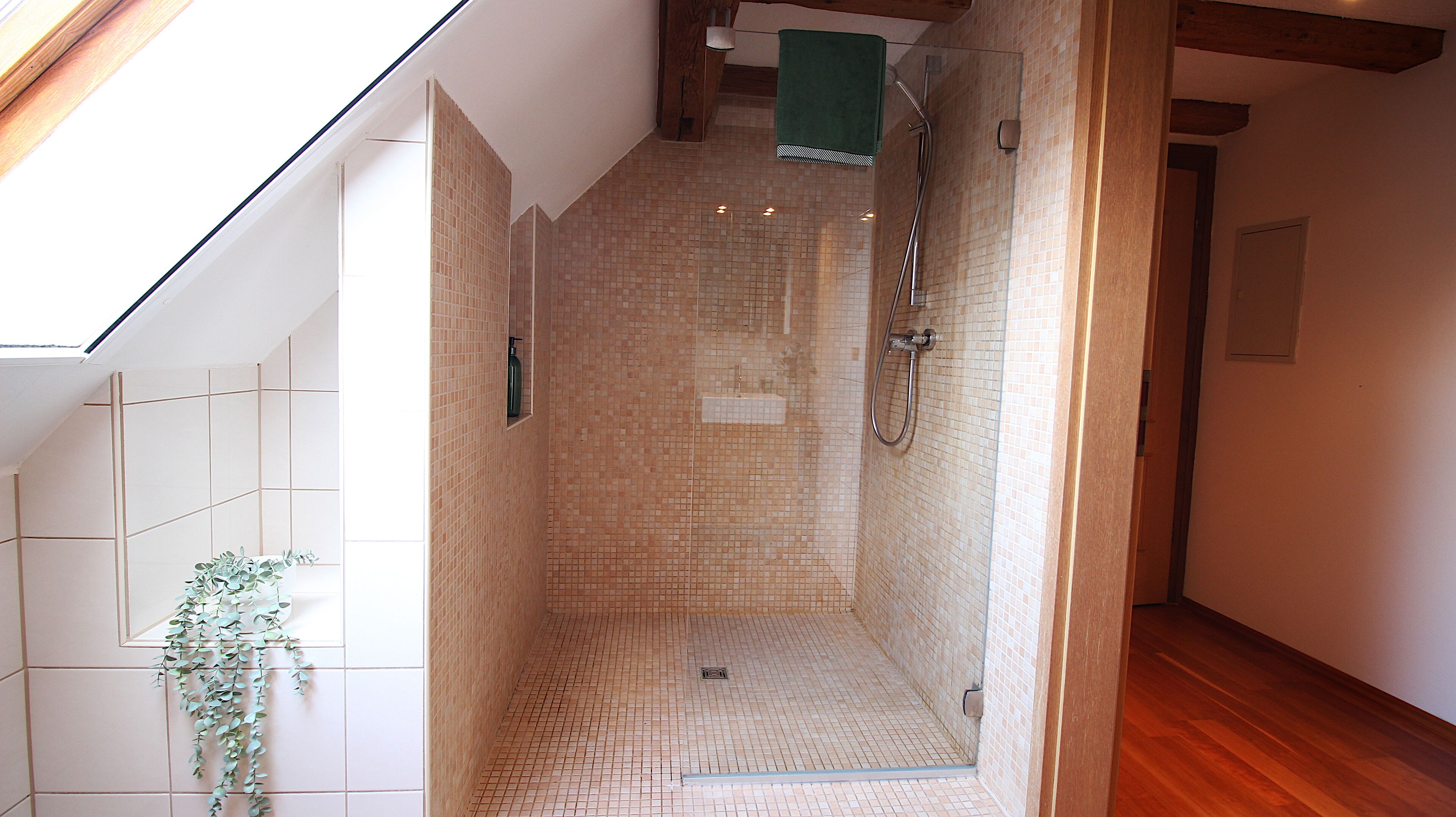 Dusche, Haartrockner, Handtücher, Seife