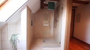 Ducha, secador de pelo, toallas y jabón