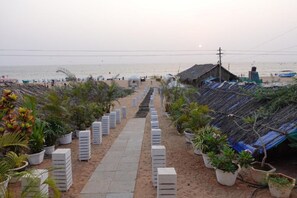 Plage, chaises longues, bar de plage