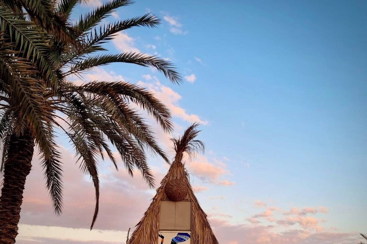 A thatched hut with a painted figure on the door, surrounded by palm trees and dry vegetation.