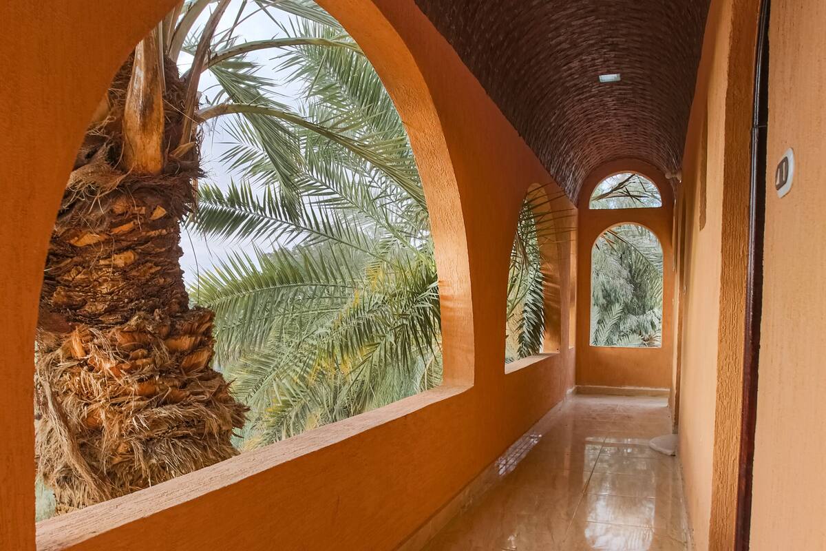 A corridor with arched windows, palm trees, and a tiled floor.