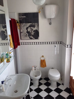 Bathtub, hair dryer, soap