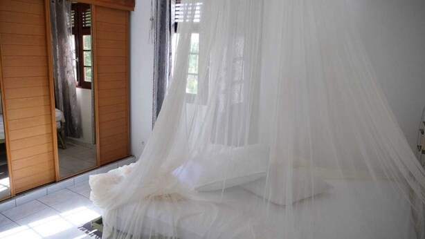 A room with a bed under a white canopy, a sliding door, and a view of the outside. - Residence Le Citron Vert (Rivière-Salée)
