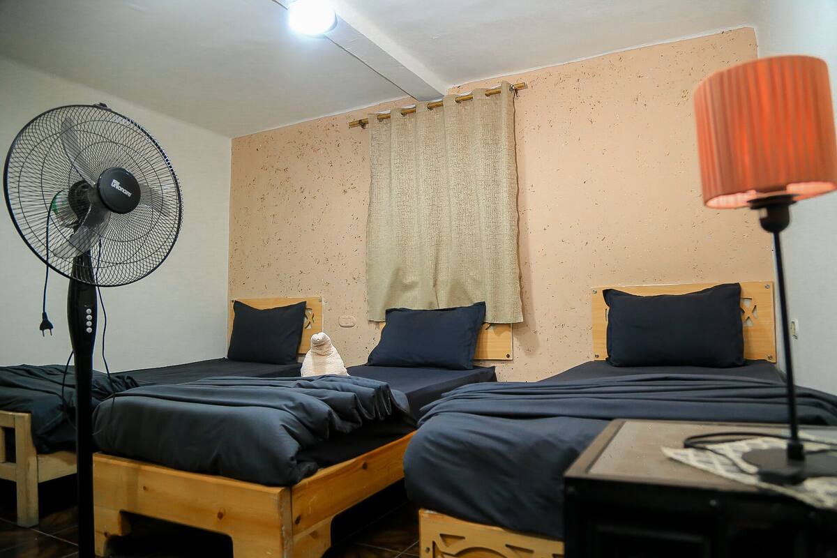 Standard Triple Room, 1 Bedroom, Non Smoking, Shared Bathroom | Egyptian cotton sheets, premium bedding, pillowtop beds, blackout drapes