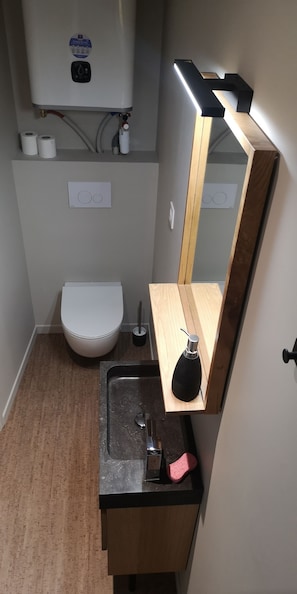Shower - 1 Bedroom Apartment in Rennes (Rennes)
