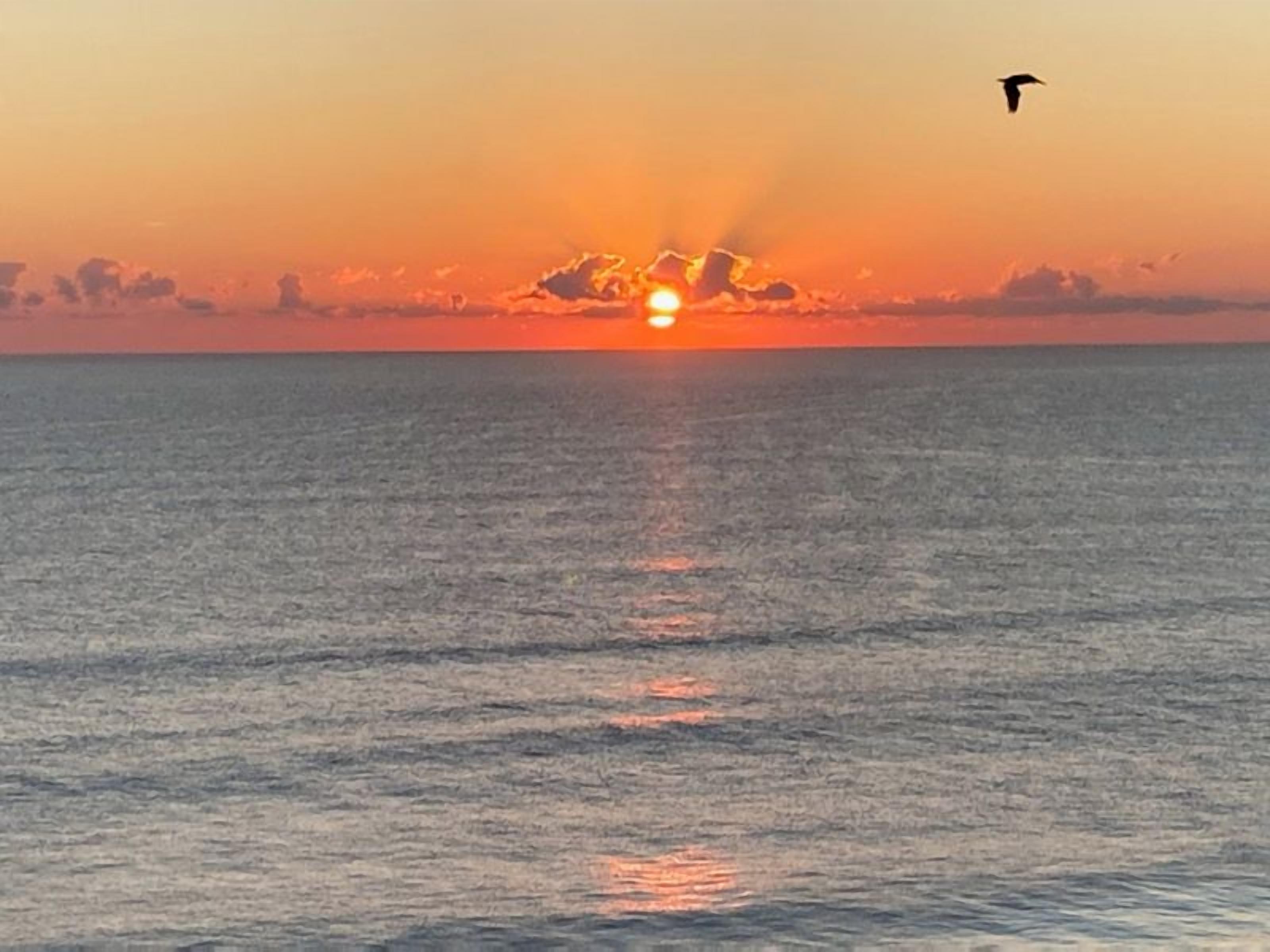 Um pôr do sol sobre um mar calmo, com um pássaro voando no céu.
