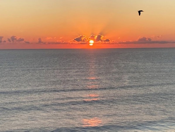 A sunset over a calm sea with a bird flying in the sky.