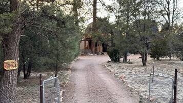 Terrain de l’hébergement