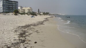 A beach with a sandy shore, some seaweed, and buildings in the background. - Seaside (200m to beach), bright, spacious ground floor apartment, Les Dunes S+2 (Akouda)