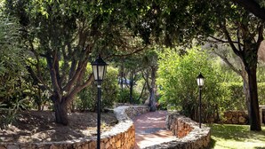 Ein gepflasterter Weg schlängelt sich durch einen Garten mit Bäumen und zwei schwarzen Laternen.