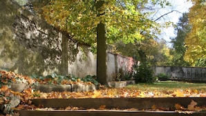 Taman