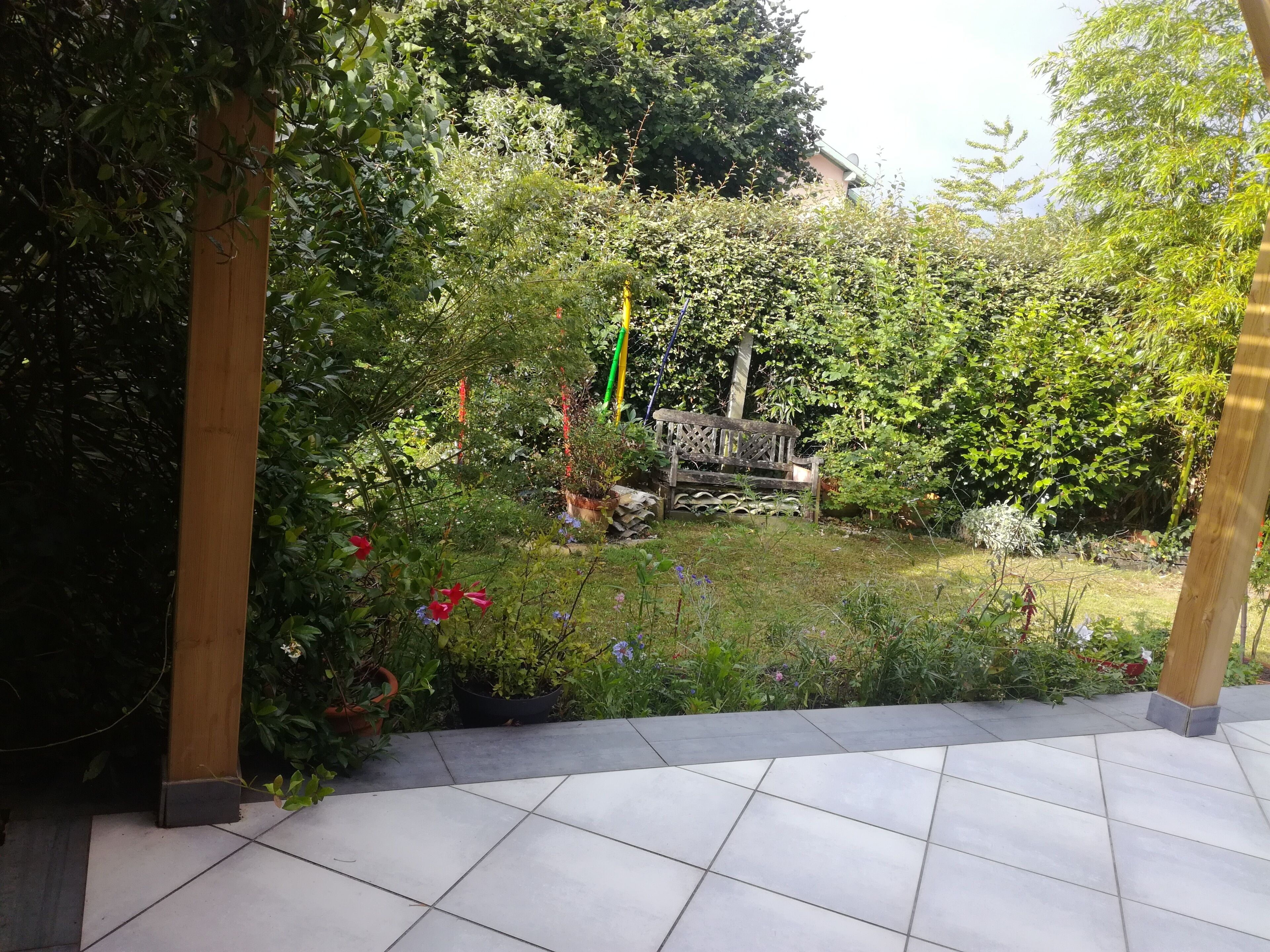 Un jardín con un banco de madera, plantas en macetas y un sendero de piedra.