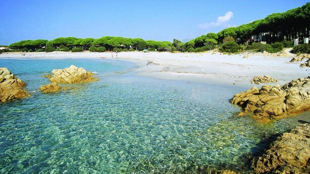 A beach with clear water, rocky formations, and green vegetation.