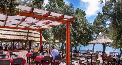 Mobilheime im Caravanpark Soline in Biograd