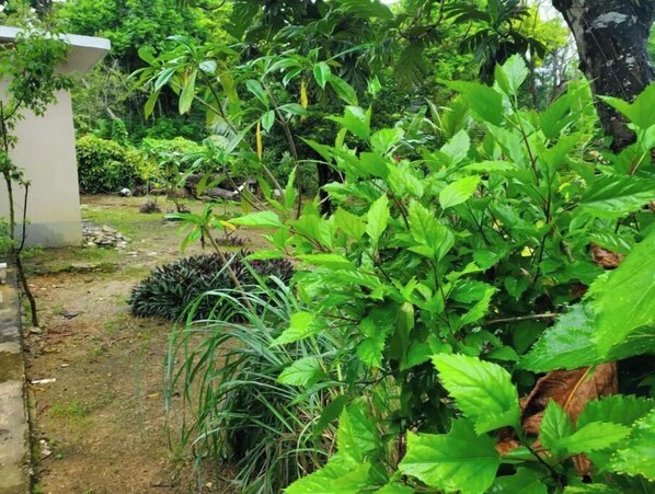 Property grounds - Tranquil Park (Orange Bay)