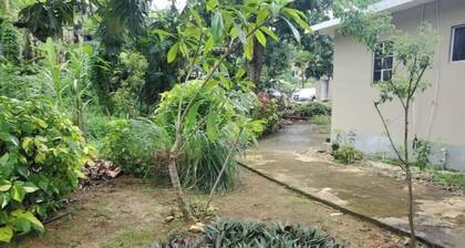 Tranquil Park
