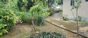 Tranquil Park