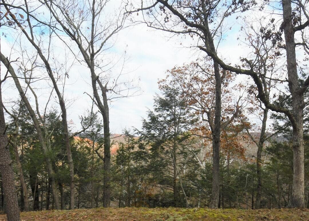 Tentrr Signature Site - Fifteen Mile Creek