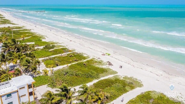 A beach with a white building and palm trees.