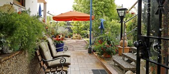 Relaxation in the middle of the vineyards