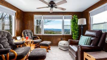 Fernseher, Arbeitsbereiche