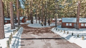 A snow-covered path leading to cabins surrounded by tall pine trees.