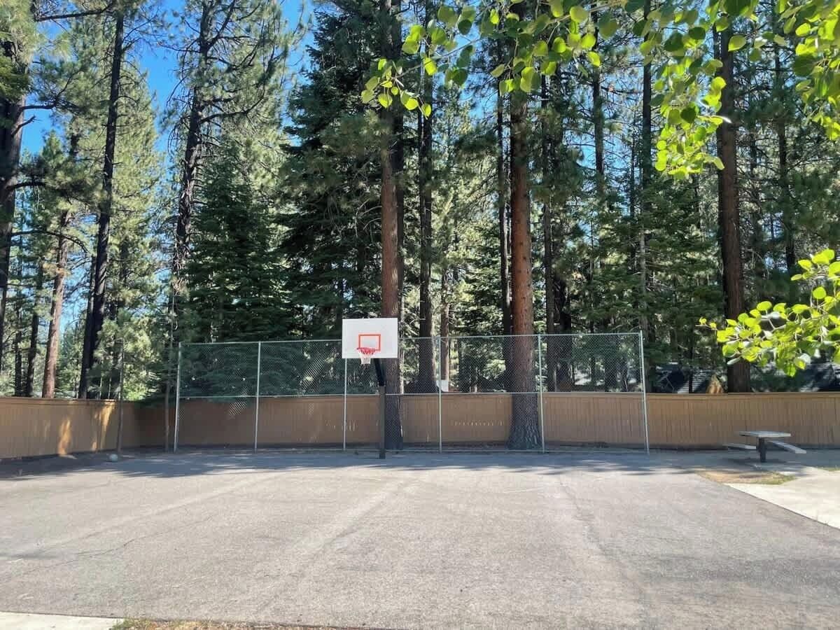 Un terrain de basket en plein air, entouré de grands arbres.