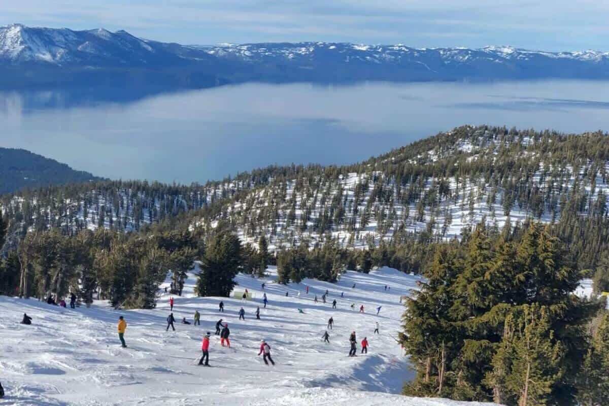 Una pista de esquí con esquiadores y snowboarders, rodeada de árboles cubiertos de nieve y montañas al fondo.