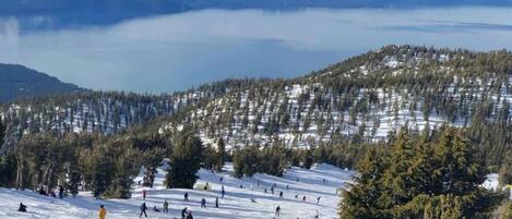 Una pista de esquí con esquiadores y snowboarders, rodeada de árboles cubiertos de nieve y montañas al fondo.
