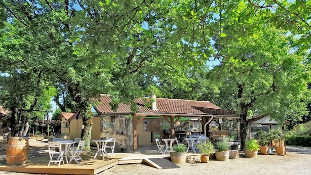 Un espace extérieur aménagé dans un style rustique, avec des tables et des chaises disposées sous une terrasse couverte, le tout entouré d’arbres et de plantes en pot.