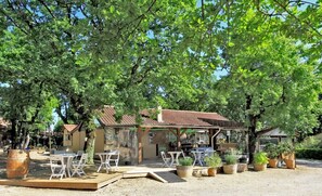 Un espace extérieur aménagé dans un style rustique, avec des tables et des chaises disposées sous une terrasse couverte, le tout entouré d’arbres et de plantes en pot.