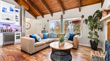 TV, fireplace, books, offices