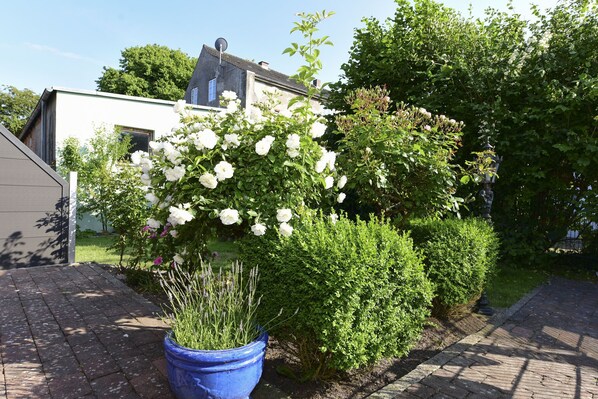 Un jardin avec des fleurs blanches, un pot bleu et un bâtiment en arrière-plan.