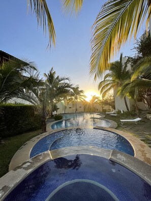 Una piscina de diseño curvo, rodeada de palmeras y un cielo despejado.