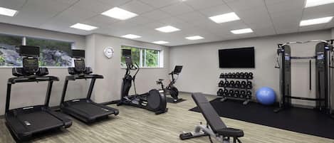 A gym with treadmills, elliptical machines, a bench, dumbbells, and a stationary bike.