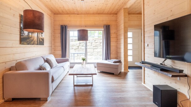 Interno di una baita in legno con divano, tavolino, televisore e parete in pietra.