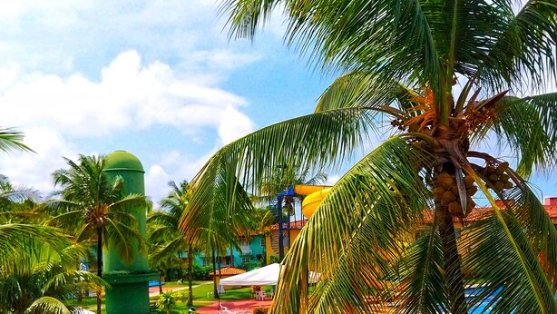A pool area with palm trees, a statue, and outdoor seating.