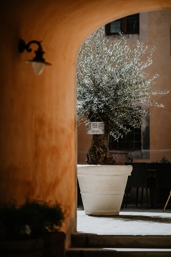 Nicht klassifiziertes Bild, 1 von 47, Schaltfläche