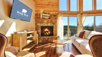 Smart TV, fireplace, books, music library