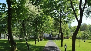 Un chemin bordé d’arbres menant à un bâtiment.
