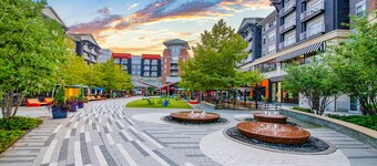 Mid Century Modern Deluxe 2BR Cozy King bed l GYM l Tranquil 5 min to DC/Mall/✈️