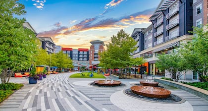 Mid Century Modern Deluxe 2BR Cozy King bed l GYM l Tranquil 5 min to DC/Mall/✈️