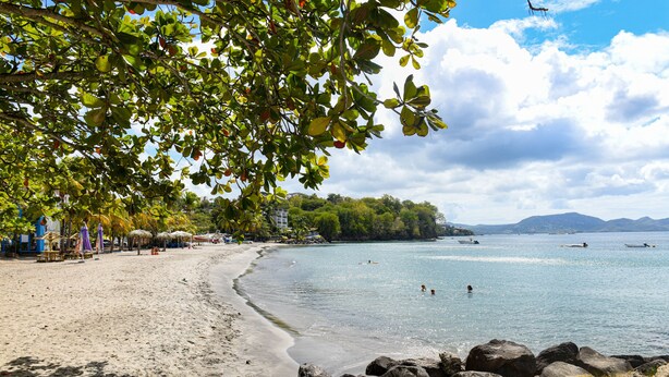 Une plage à l’eau claire, avec un rivage sablonneux et une rangée de parasols.