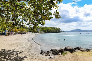 Una spiaggia con acque limpide, una battigia sabbiosa e una fila di ombrelloni.