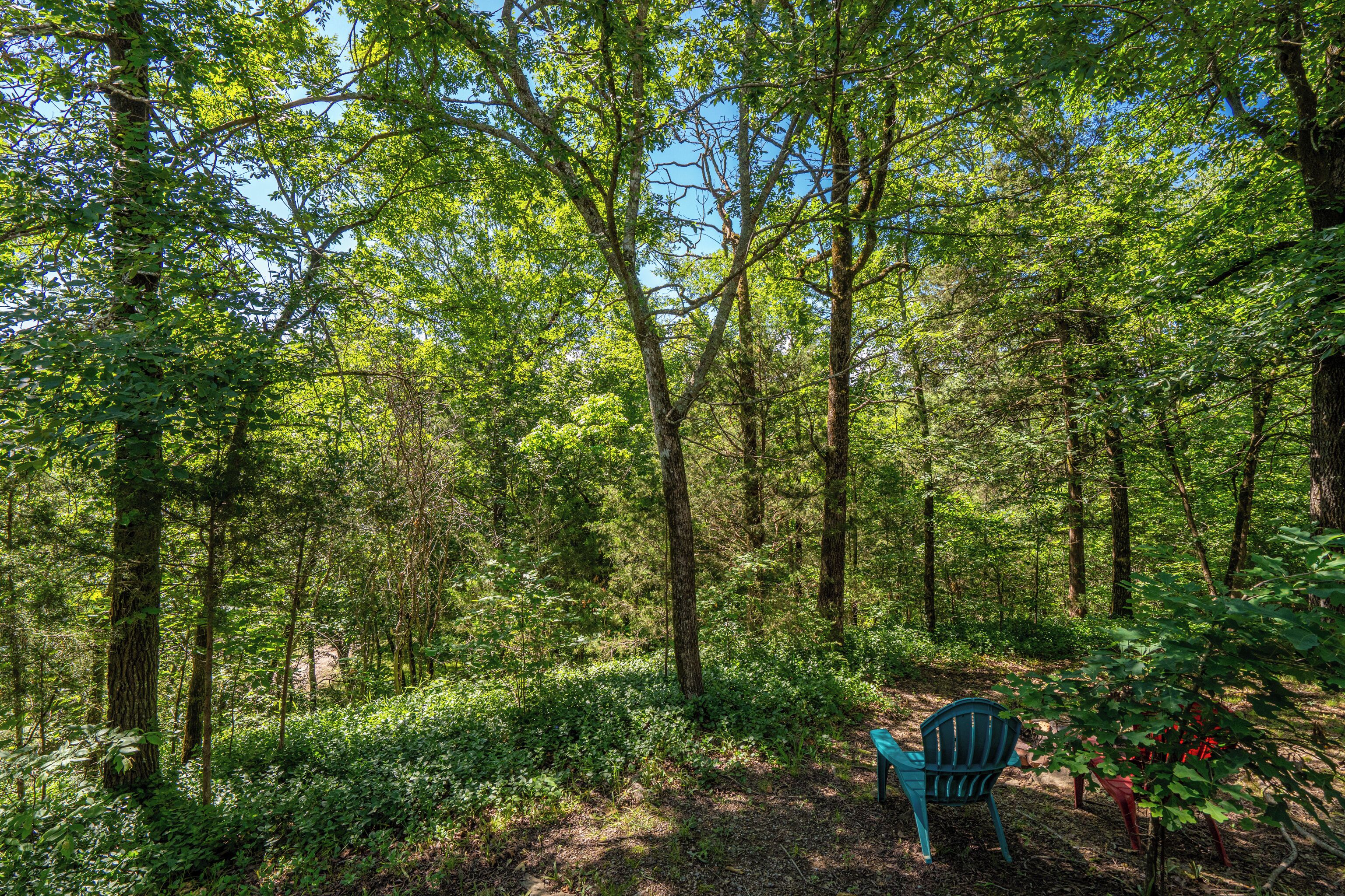 A forest with a single chair.
