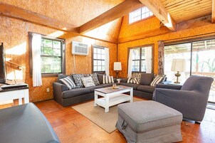 Windchimes Cabin | 起居区 | 平板电视