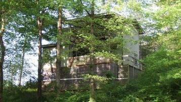 Ouachita Rose | Terrace/patio