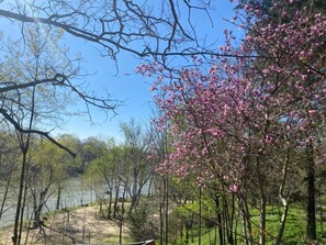 Exterior - Ouachita River Haven (Pencil Bluff)